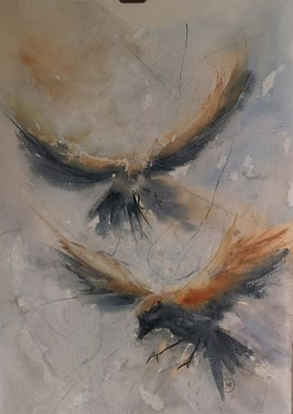 Kråkfåglar, akvarell 38x56 cm, 3200:-/£320/$320 for sale (paypal)