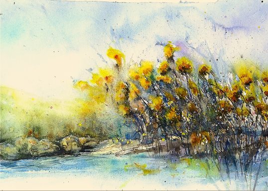 Strandnära Med näsan vid vattenytan